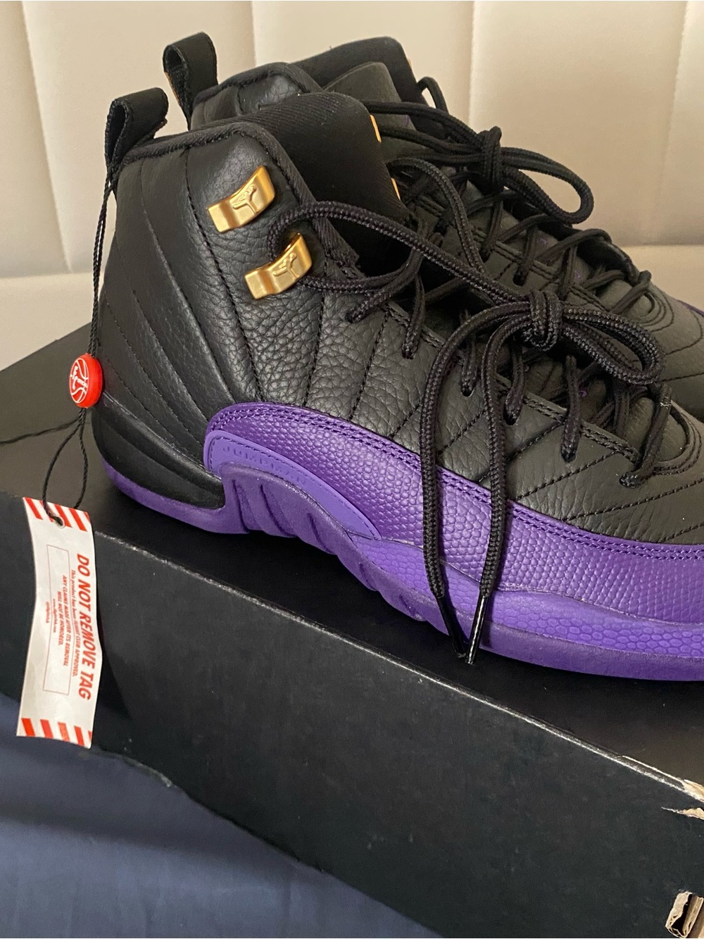 Jordan 12s